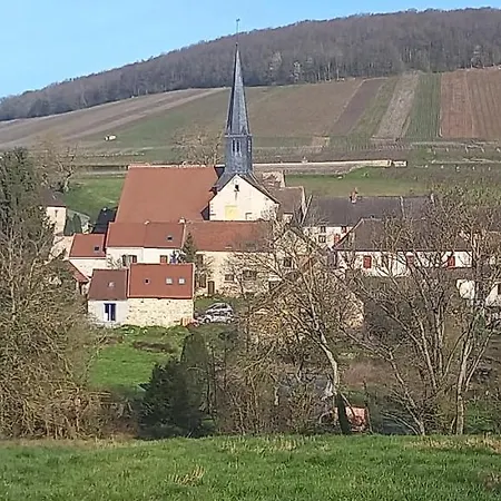Gîte du bel air Festigny  Extérieur photo