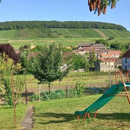 Gîte du bel air Festigny  Extérieur photo