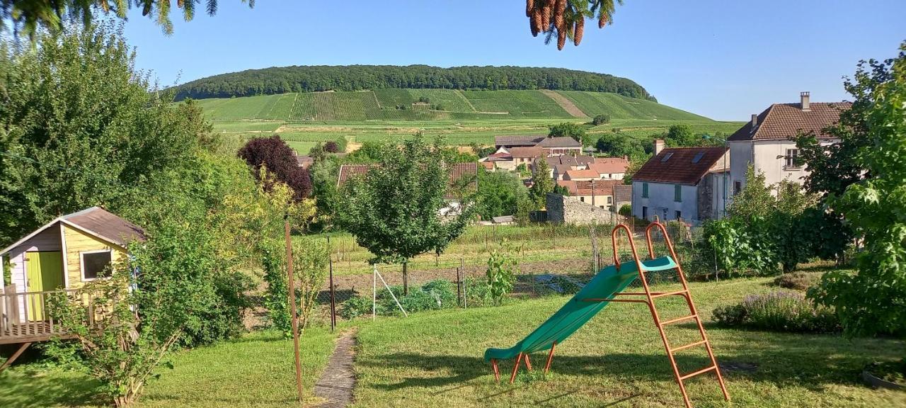 Du Bel Air Festigny (Marne)